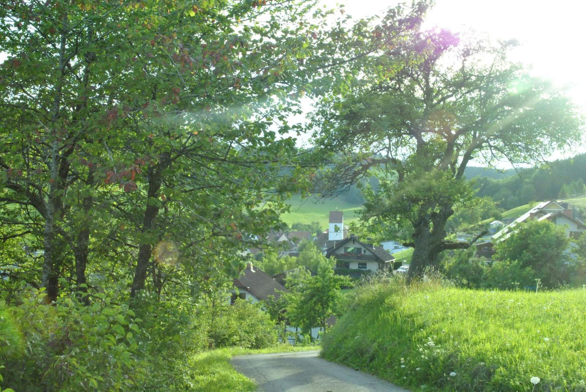 Gasthaus Kranz Lausheim Ngoại thất bức ảnh