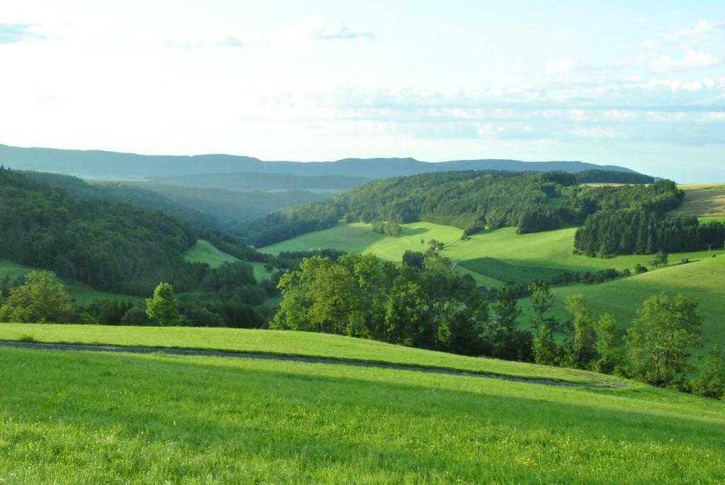 Gasthaus Kranz Lausheim Ngoại thất bức ảnh