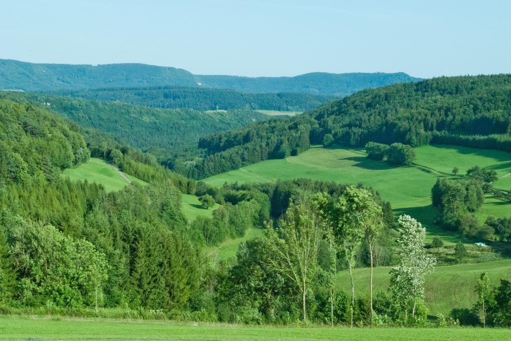 Gasthaus Kranz Lausheim Ngoại thất bức ảnh